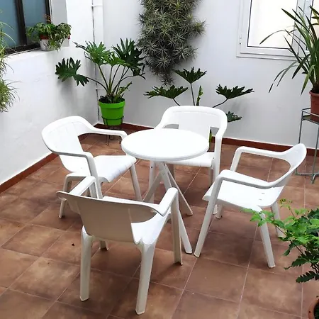 La Orquídea *