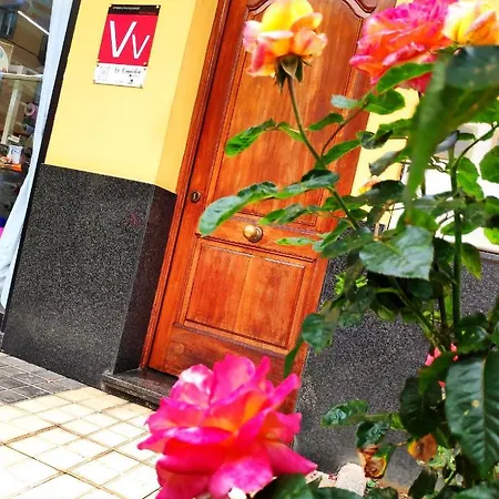 La Orquídea Vega de San Mateo