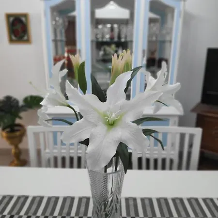 La Orquídea Apartamento *